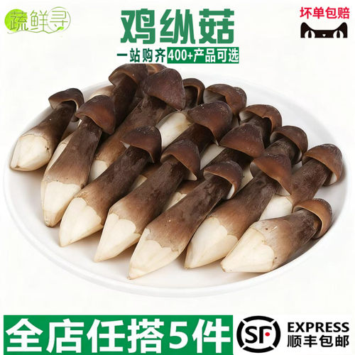 优质云南特产新鲜黑皮鸡枞菌现采现发鲜嫩脆火锅煲汤炒菜饭店下饭