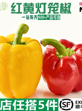 新鲜彩椒甜椒黄椒红椒 bell peppers蔬菜现摘现发