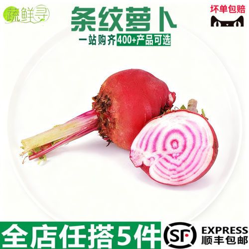 新鲜条纹萝卜500g 螺旋纹红萝卜甜菜头 西餐酒店摆盘装饰点缀