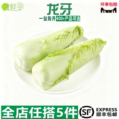龙牙菜龙牙白菜宁夏供港龙芽菜日本绍菜长白菜清甜多汁新鲜蔬菜