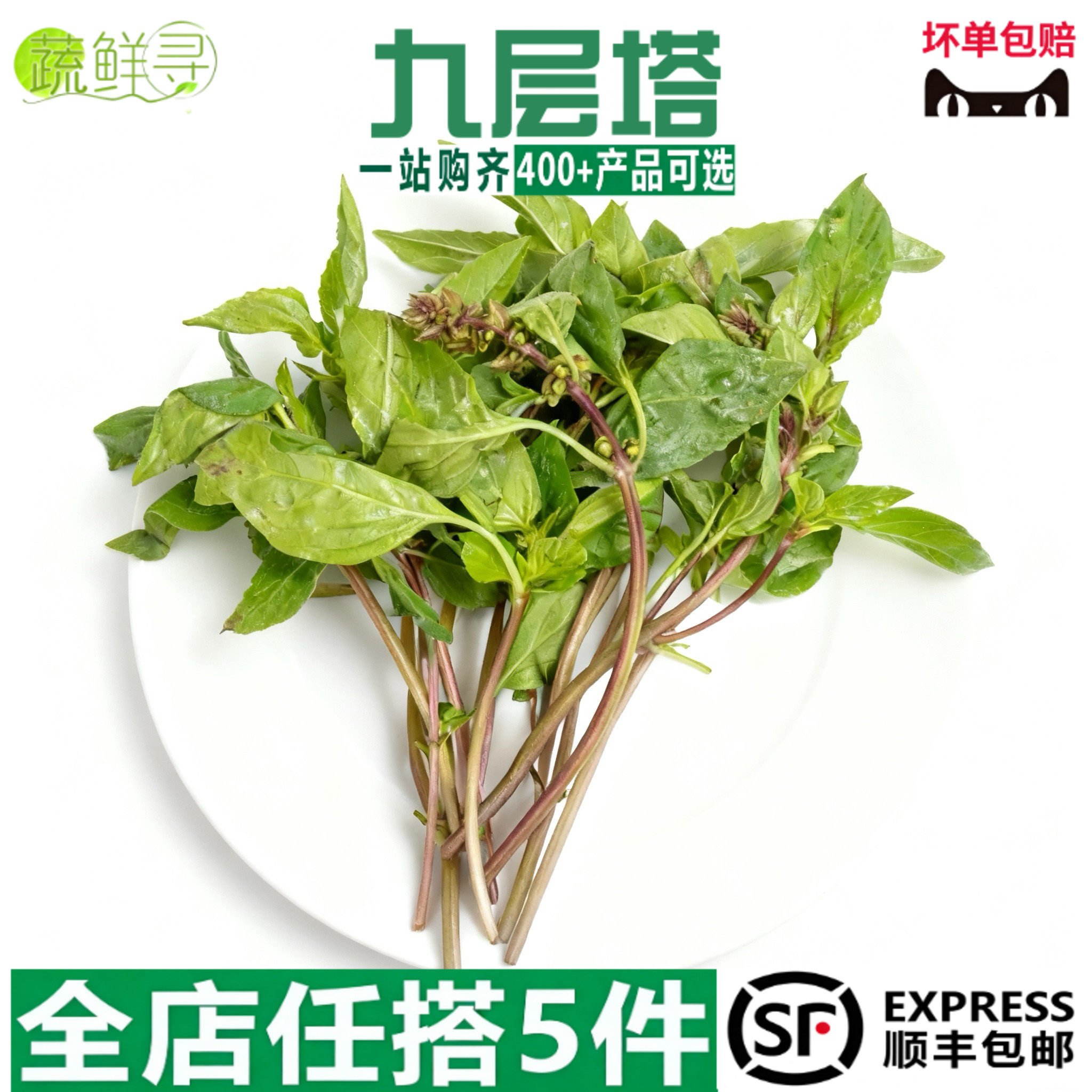九层塔食用新鲜台湾品种金不换冬阴功食材香料菜非罗勒叶和打抛叶