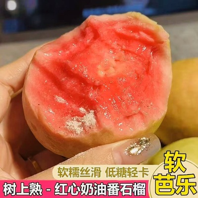 广西软糯红心芭乐新鲜红宝石胭脂红低糖轻卡红心番石榴孕妇果