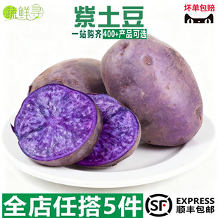 紫土豆黑土豆黑金刚新鲜紫色洋芋马铃薯黑美人迷你小土豆蔬菜