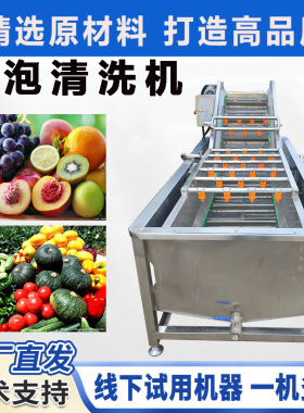 果蔬气泡清洗机 圣女果全自动清洗机 苹果辣椒多功能 洗菜机佳鸿