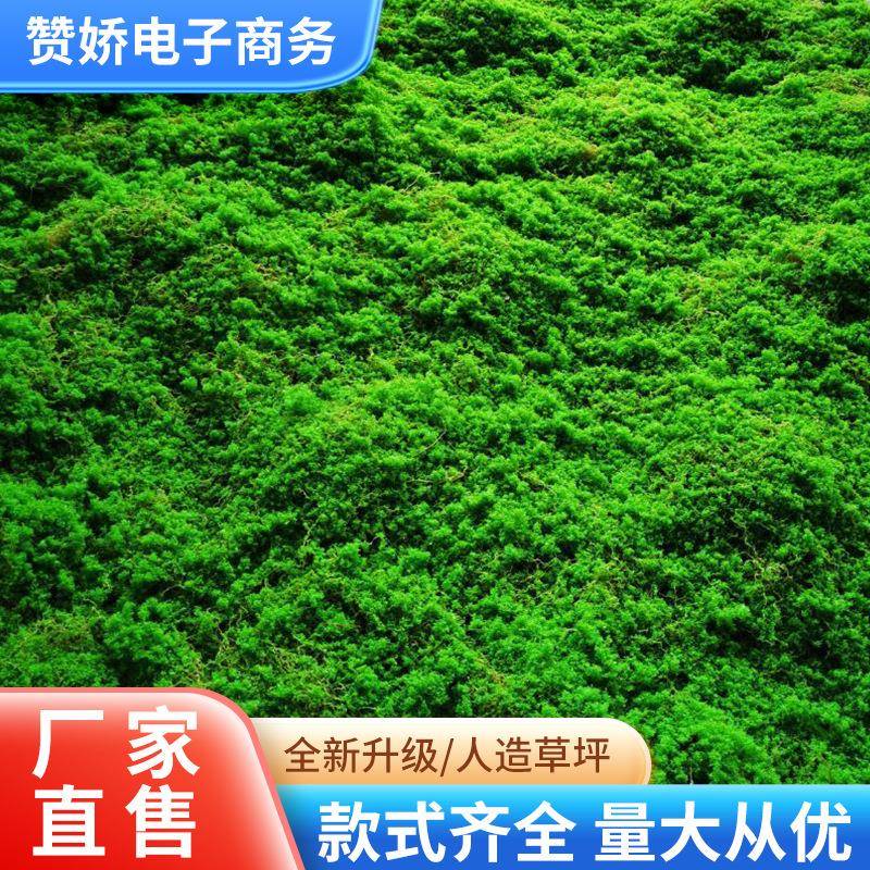 仿真草皮 草坪 青苔石 盆景 植物苔藓 造景仿真植物墙景草坪