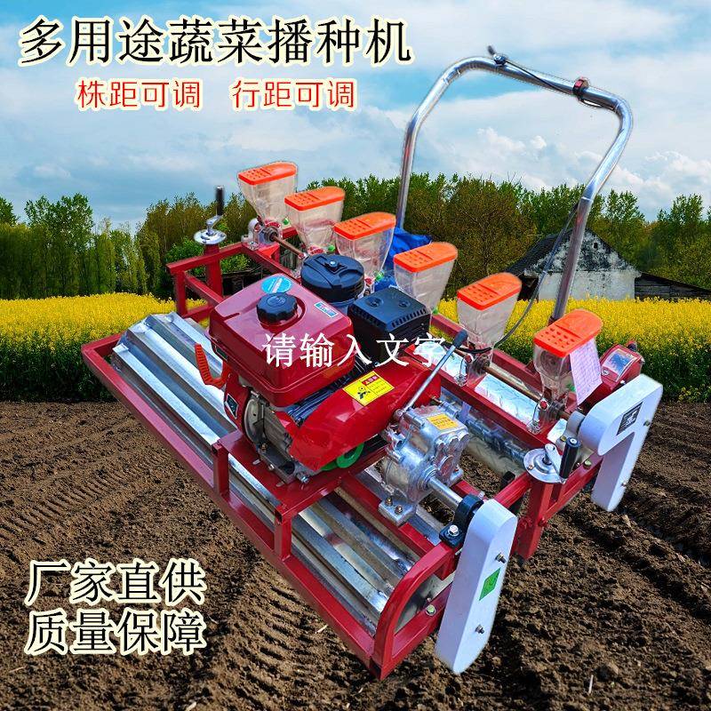 蔬菜播种机厂家自走式香菜精播机青菜小白菜大葱菜籽电动点播机