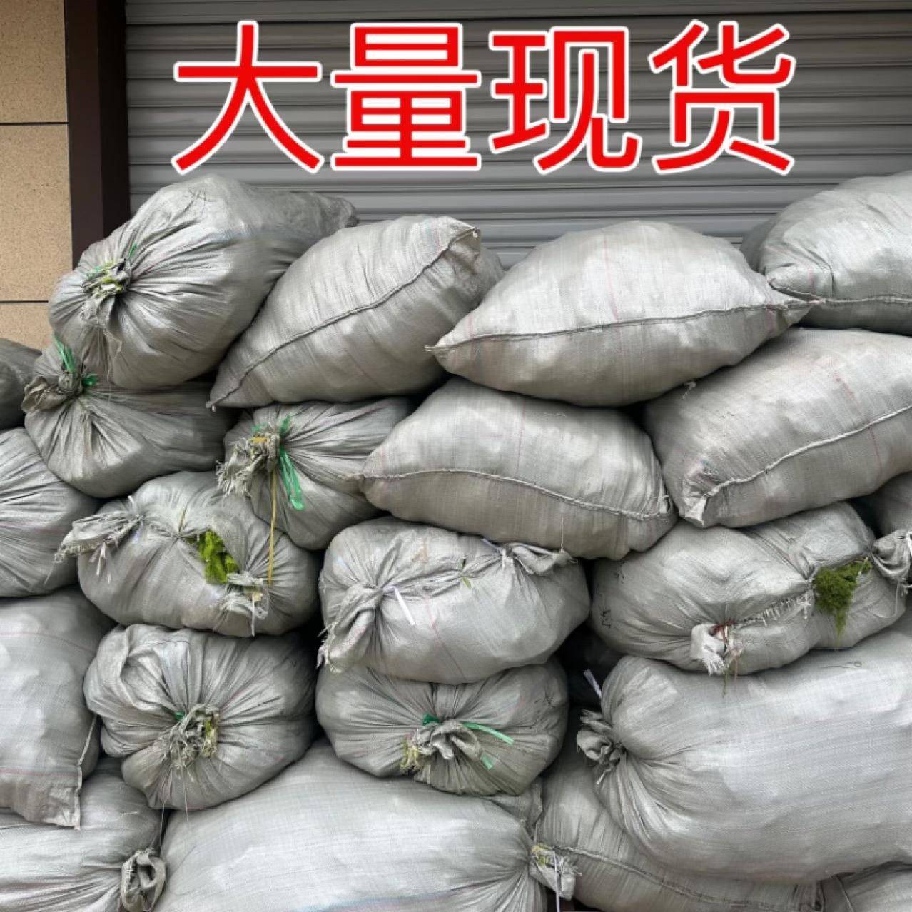 仿真藓假苔青苔草皮绿植微景观植物装包覆纱仿纶生草涤饰DFX氨纶