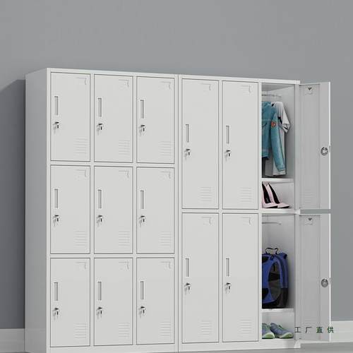 员工更衣铁柜柜带皮锁储物柜钢制六门九985门存柜浴室健身房包换