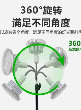 全光谱植蔬光SLM菜多肉补花果水草绿生花卉物植物长补光灯落地式