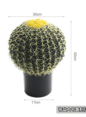 KXE-仿真仿真植仙人掌造景大型假量人天尺仙柱落地摆件网红ins风