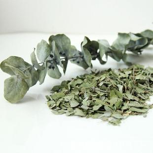 云南尤利自尤加利叶基地直销尤加加利叶桉树叶手然干花香包工材料