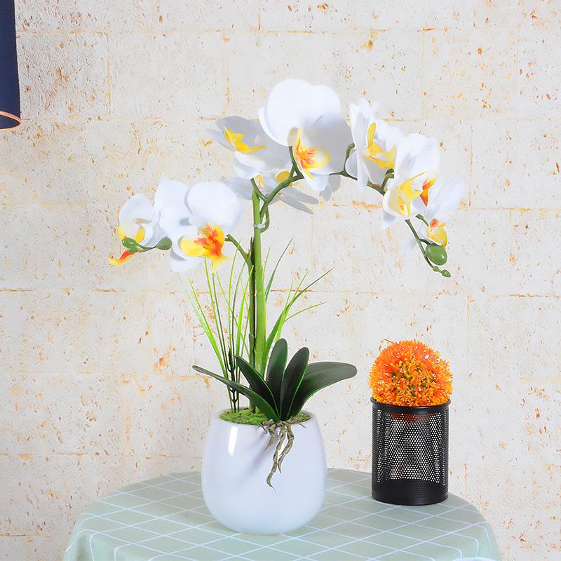 仿真2蝴蝶兰盆叉内蝴蝶兰花花陶瓷盆盆景花套装花家居客厅室装饰