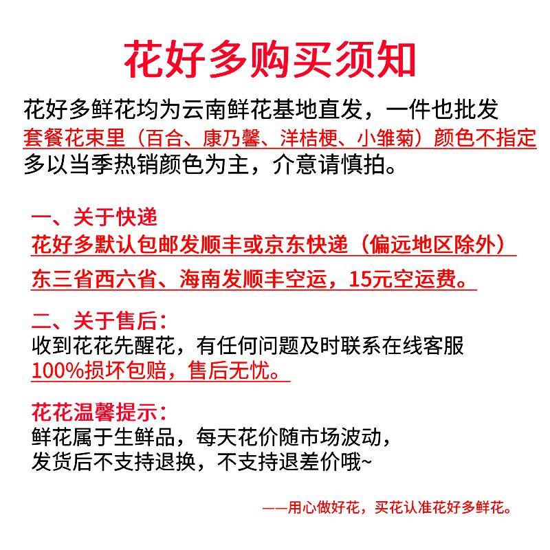 粉瑰梅百合郁金香bzl70482新鲜腊插鲜花云玫南直发瓶水养