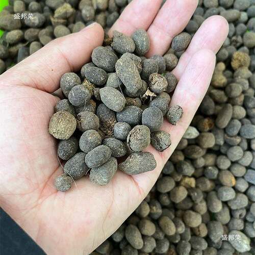 盆栽肥羊粪阳台颗果AL768722树羊粪发酵肥有机料花卉月季羊粒纯蛋