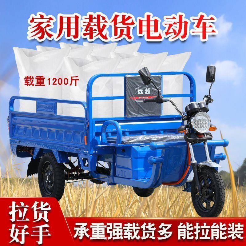 电三轮车拉货载重王成人家用电瓶动车快递摊RNG车摆车三轮农用新