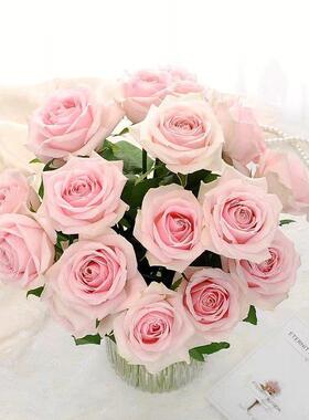 粉色清新玫瑰真花小鲜粉红雪EHL山鲜切花家送花礼用花店用花