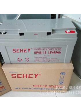 EHEY(西力）蓄电V池2工业储能后备电S源NP33-1(6231233AH)铅酸蓄