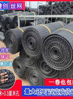 网鸭塑胶围栏网拦鸡养殖网玉米网鸡网格土工栅浸塑防护铁CIO丝网