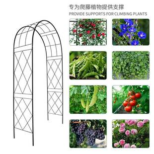 铁艺藤架拱门爬花装花架别墅庭院咨询户外婚庆饰园植物瓜藤葡萄架