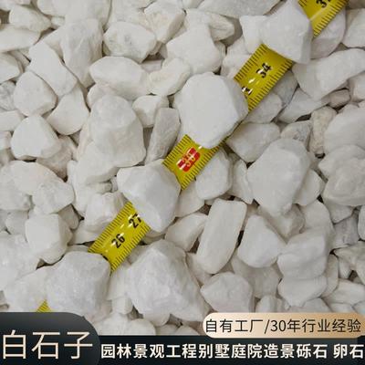 白石子园-林工982程造景装饰12洗公分白色水石制机水磨石石子白色