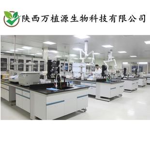 噻奈普汀钠盐99%现噻奈普汀钠水物噻萘545汀合钠普源头工厂货1g