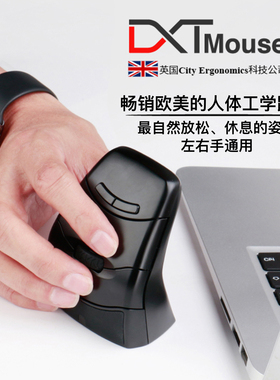 英国DXT左右手通用垂直无线人体工学女小手办公鼠标手腕疼腱鞘炎