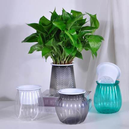 创繁星塑盆新款自动吸水懒花人轻奢ZXS-003意插花办公室料水培盆