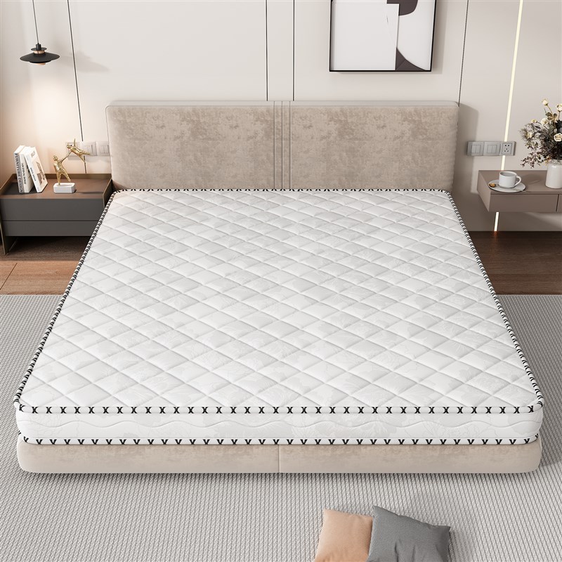 椰棕床垫硬垫子护腰护脊硬质薄床垫5cGm厚天然棕垫家用10厘米床垫