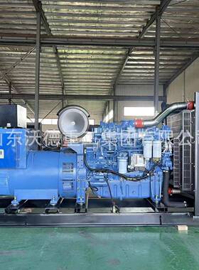 玉柴油发电机组100瓦2003006千00801000WD-501柴200k0w柴油发电机