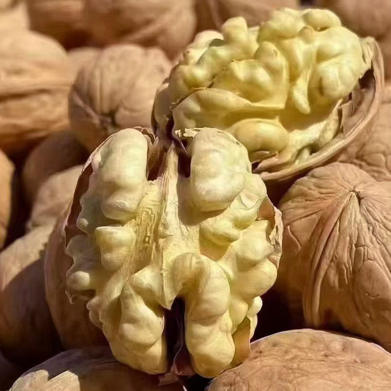 薄皮核桃新疆正宗185纸皮核桃出仁率95%坚果零食无添加大果肉多