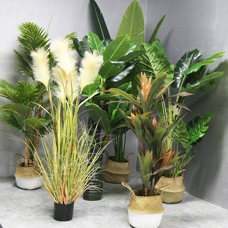 仿真绿植仿真树仿FZS-2252真植蕉物盆栽室内装饰旅鸟人天堂假绿植