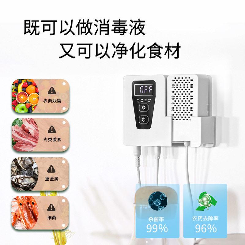 110V台湾家用果蔬净化器水果蔬菜肉类清洗机洗菜机次灭菌消毒器