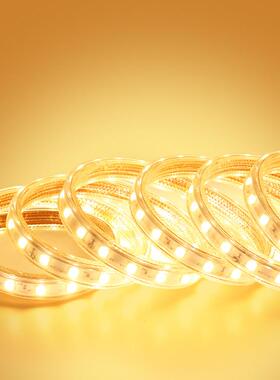 346V户外防水LED灯带2V程工隧道2塔吊工地楼梯照明养殖CK99820V灯