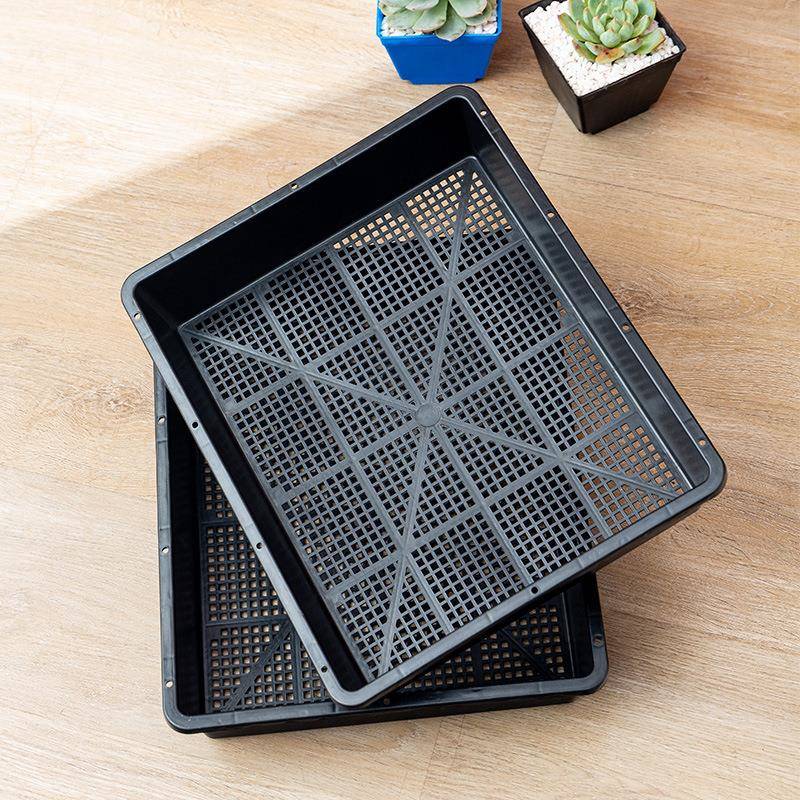 育苗厂平盘家芽菜多肉蔬种植塑料651托盘菜加厚育苗长盘方正方盘