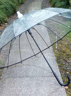 带自防水套伞1森6骨动弯钩透明伞女网红长柄小清新TJQ套不滴水伞