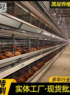 框架蛋鸡笼养鸡殖场层叠式鸡笼子H型笼工业动自化鸡XOC设养备厂家