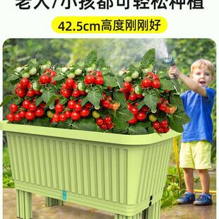 高脚盆种菜专用阳塑台植种箱长方形料花盆家用大号蔬pZhK6xpM菜盆
