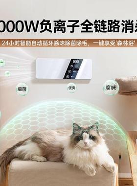 空气氧净化器宠物除臭去异毒味卫生间净64105臭化机小型专用负离