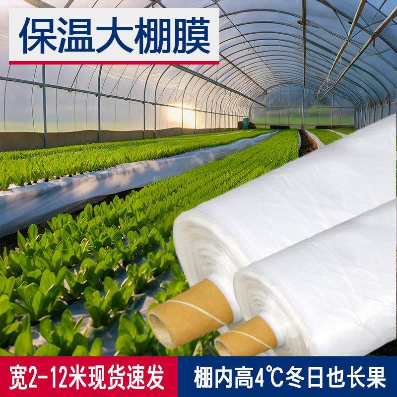农用塑料筒膜pe聚乙烯防水大棚膜生产农膜透明塑料布防雨薄膜