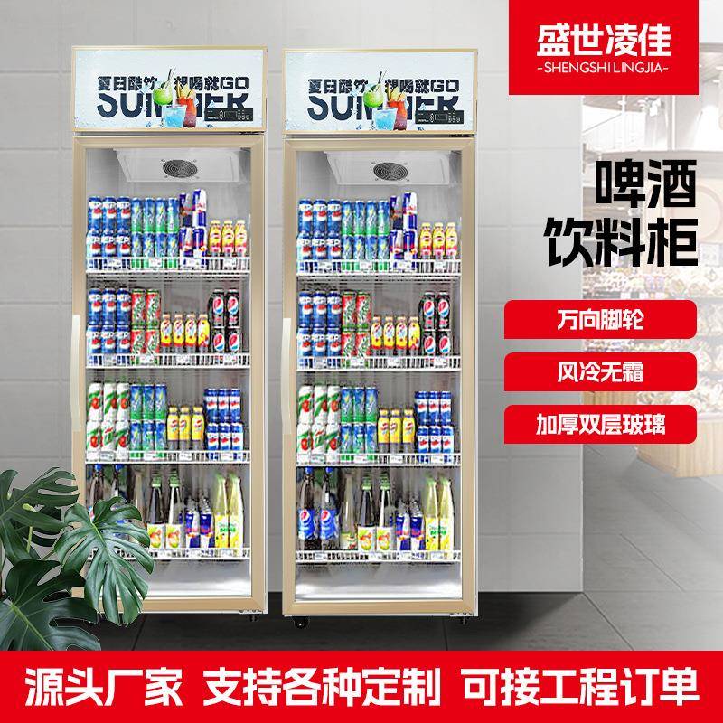 啤酒饮料柜双层玻璃单门双门饮料柜商用冷柜立式啤酒冷藏柜商业用