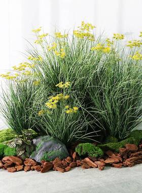 仿生绿植狗尾洋葱草仿真芦苇草盆栽室内网外红OAY打卡照橱拍窗草