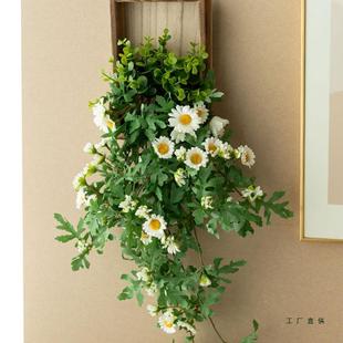 ins风植物面装饰F976T7TJ小雏墙假菊墙假花室内壁花藤蔓电视背景