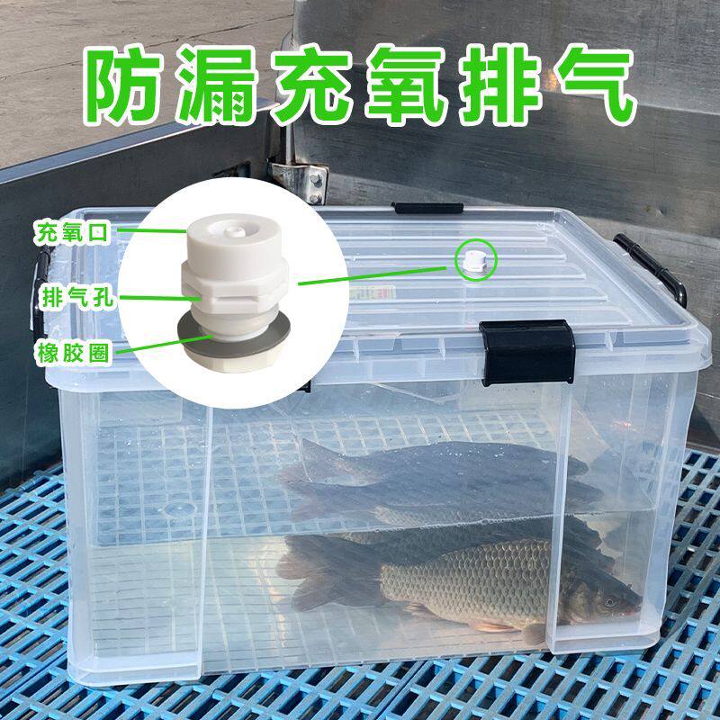 塑料活鱼桶可充氧防漏水密封钓鱼箱加厚大号汽车野钓黑坑装鱼箱子