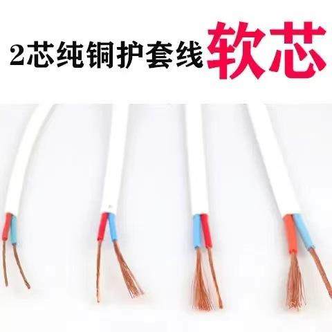 珠江股双铜芯硬线2.5/4/1143.56平方护套线2/芯线家用阻纯燃电缆