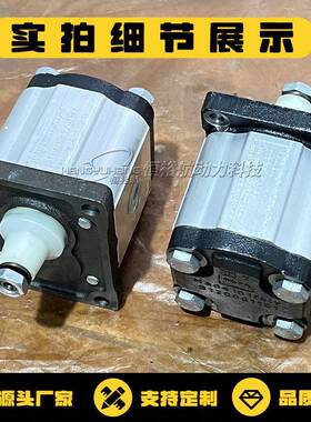 布雷维尼BBAWrevni齿轮液泵OT200P11D/G28P2OiT200P16D油泵14D压