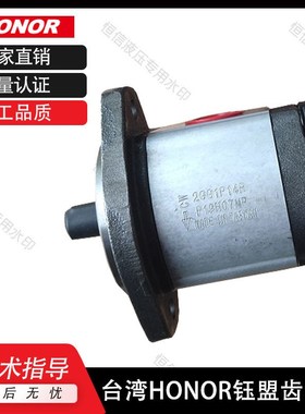 HONOR钰盟齿轮泵3GB6P133R 3GB6P118R 3GB6P120R 3GB6P123R油泵