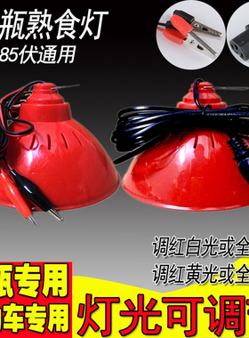 12v48V60V72V红色灯低压灯泡水果灯生鲜灯LED卤菜熟食灯夜市