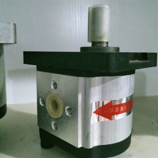 128 135 D油泵 114 174 120 160 意大利齿轮泵PFG 142
