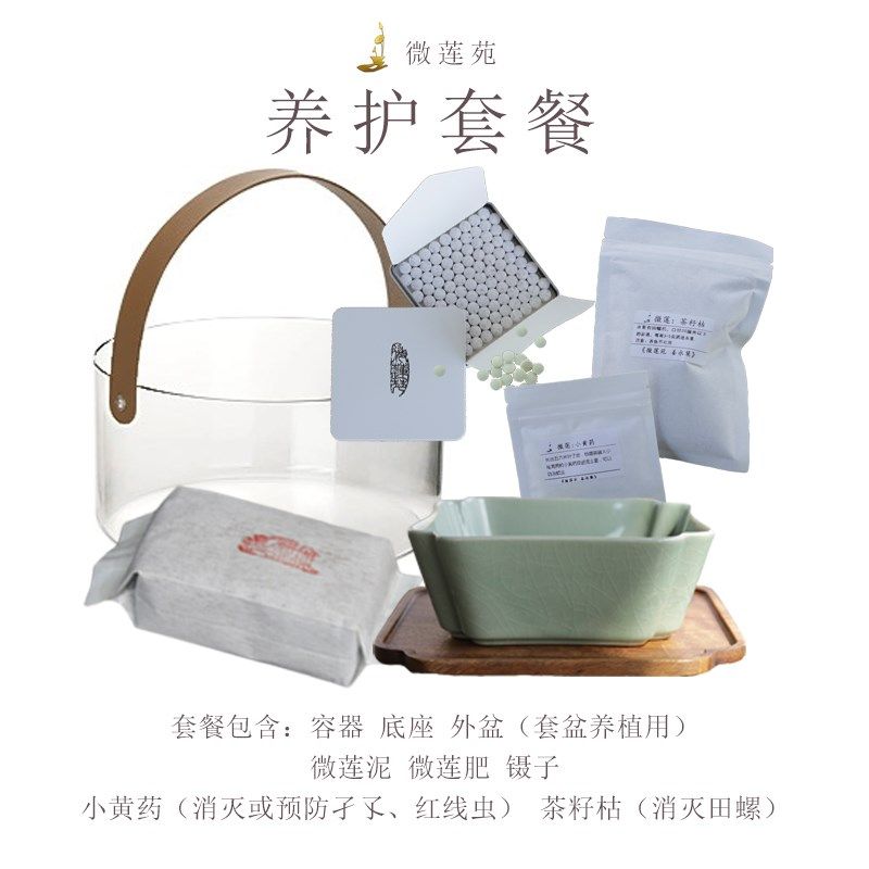 养护套餐《微莲苑 姜永慧》微型碗莲睡莲种植水培钵无孔中式花盆