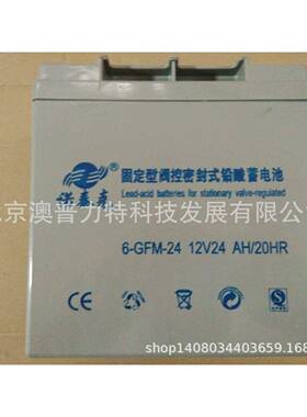 Nortek诺泰克12V24AH蓄电池 诺泰克6-GFM-24 / 12V24AH铅酸蓄电池